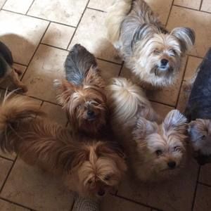 Meet your Posher, Phyllis